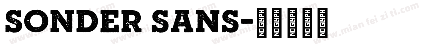 Sonder Sans字体转换